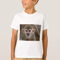 Singe d'araignée
