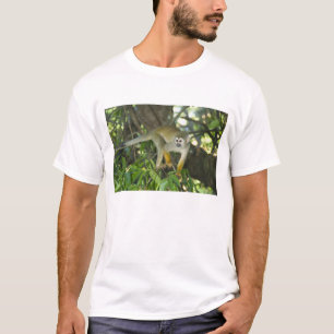 T-shirt Singe d'écureuil commun (Saimiri sciureus), Rio