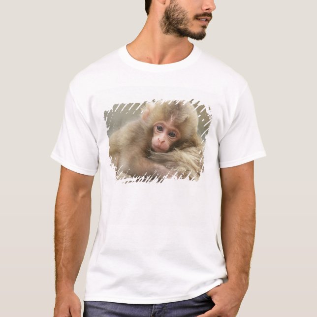 T-shirt Singe des neiges, Jigokudani, Nagano, Japon 2 (Devant)