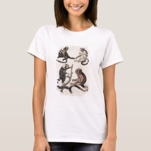 T-shirt Singes (litho couleur)