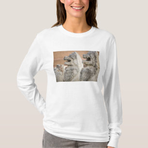 T-shirt Singhat Wat Thammikarat 2