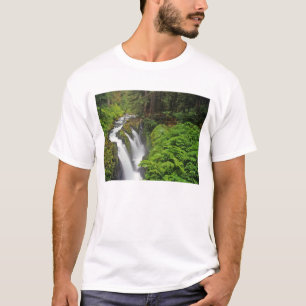 T-shirt Sol Duc Falls dans le parc national olympique 2