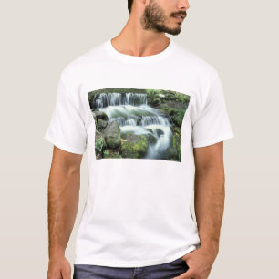 T-shirt Source aux fougères, Parc national de Yosemite