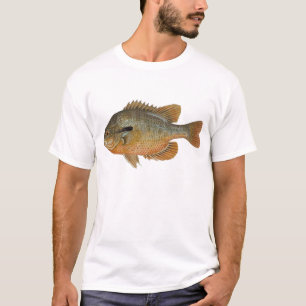 T-shirt Souris séquois - Lepomis auritus
