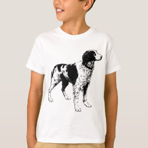 T-shirt spaniel breton