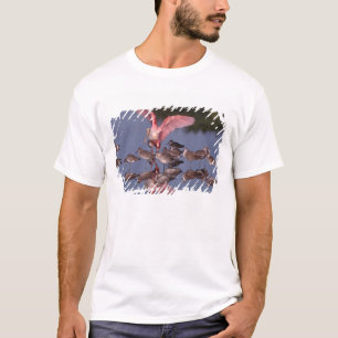 T-shirt Spatule rosée avec des willet dans des eaux peu pr