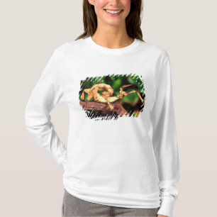 T-shirt Spectre de Macleay (Phasme épineux),