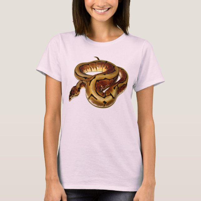 T-shirt Spider Ball Python (Devant)