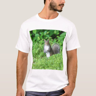 T-shirt Squirrel