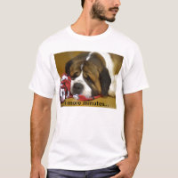 St Bernard somnolent