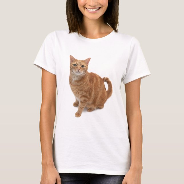 T-shirt Stade de Cat orange (Devant)