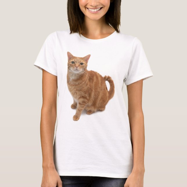 T-shirt Stade de Cat orange (Devant)
