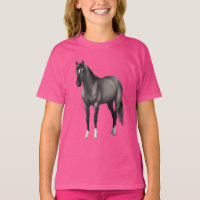Stallion Cheval Gris Grulla Quarter
