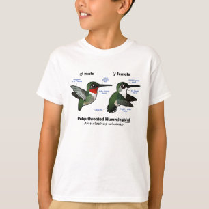 T-shirt Statistiques sur les colibris à gorge rubis