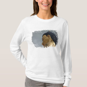 T-shirt statue de Buddha Dordenma