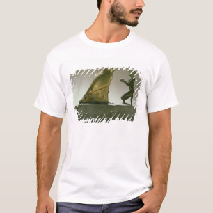 T-shirt Statue du Roi Taharqa adorant le faucon-dieu