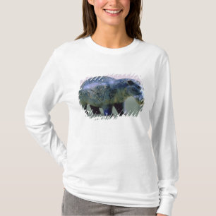 T-shirt Statuette d'un hippopotame