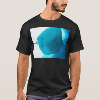 T-shirt Stingray