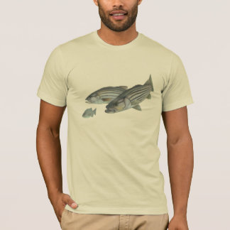T-shirt Stripa obtenu ?