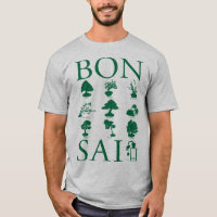 Styles de base de l'arbre Bonsai