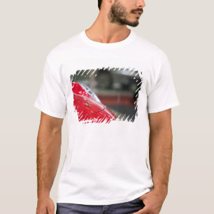 T-shirt SUISSE, GENÈVE : 75e Salon international de l'auto