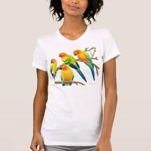 T-shirt Sun Conure Parrots la pièce en t de cou de scoop