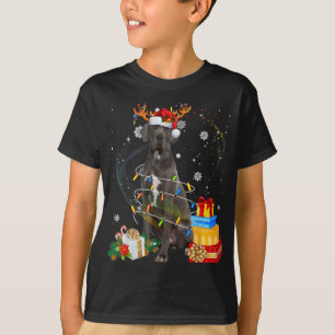 T-shirt Super Dane Reindeer lumières de Noël Drôle Chien X