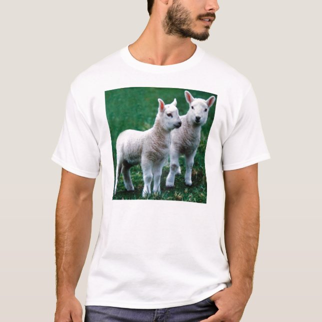 T-shirt Sven et vieux (Devant)