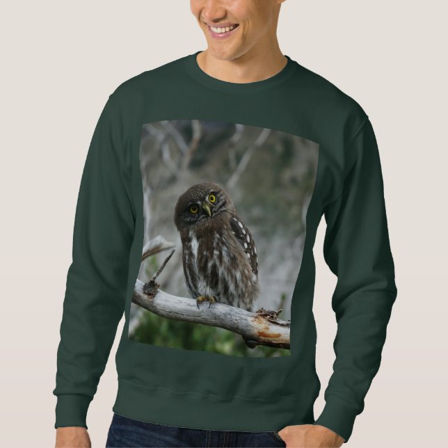 T-Shirt Sweatshirt (Front)