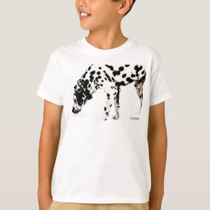 T-shirt Sweatshirt HAMbWG - Dalmation