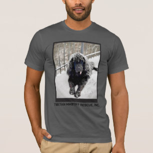 T-shirt T shirt gris Bentley