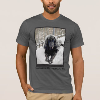 T-shirt T shirt gris Bentley