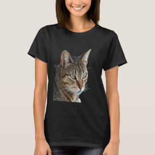 T-shirt Tabby Cat Étonnant Fermer Portrait Vector