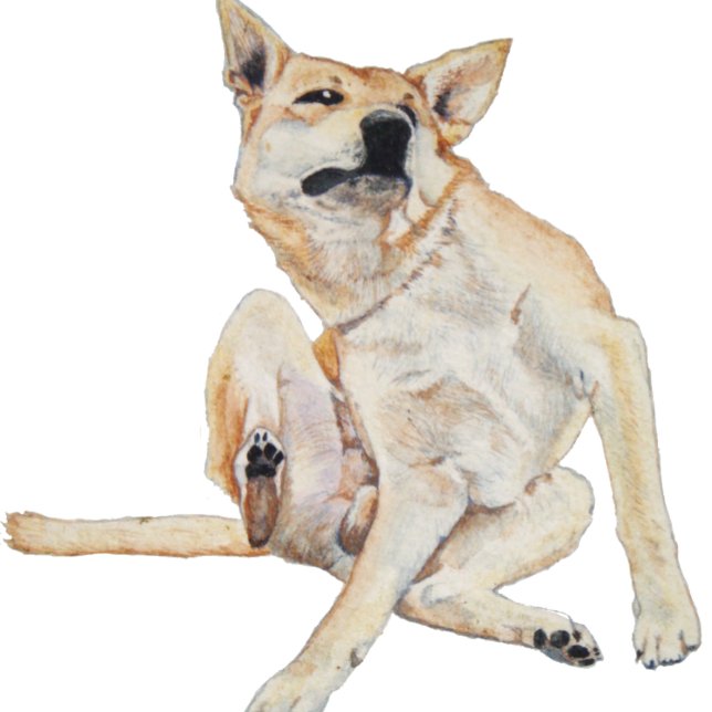 T-shirt tableau à gratter avec un slogan drôle (Créateur téléchargé)