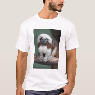 T-shirt Tamarin de Coton-dessus