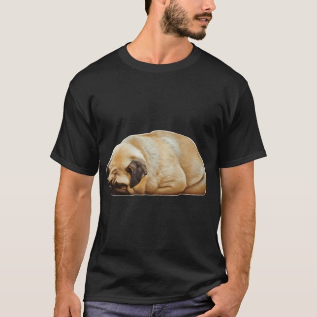 T-SHIRT TARTINE CARLIN (Devant)