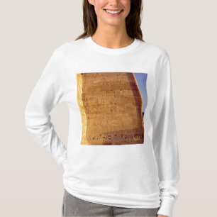 T-shirt Taureaux sauvages de chasse de Ramesses III