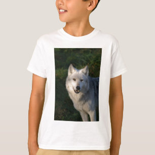 T-shirt Tee - shirt canadien des enfants du loup de bois