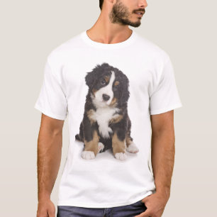 T-shirt Tee - shirt de chiot de montagne d'amour Bernese