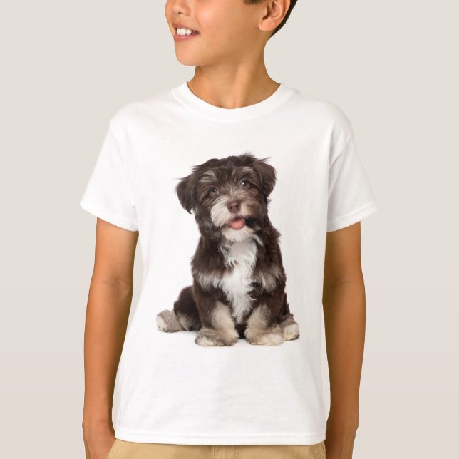 T-shirt Tee - shirt des chiots de Love Havanese (Devant)