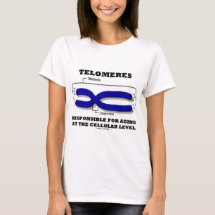 T-shirt Télomères responsables du vieillissement au niveau