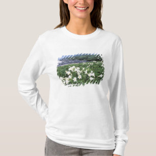 T-shirt Teppo Yuri (Lily), Yakushima, Kagoshima, Japon