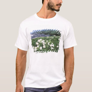 T-shirt Teppo Yuri (Lily), Yakushima, Kagoshima, Japon