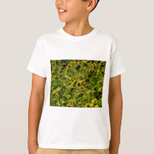 T-shirt Terrain de tournesol