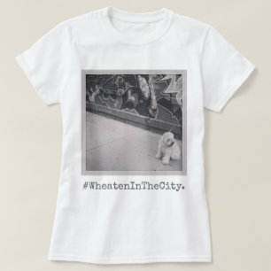 T-shirt Terrier blond comme les blés dans la ville