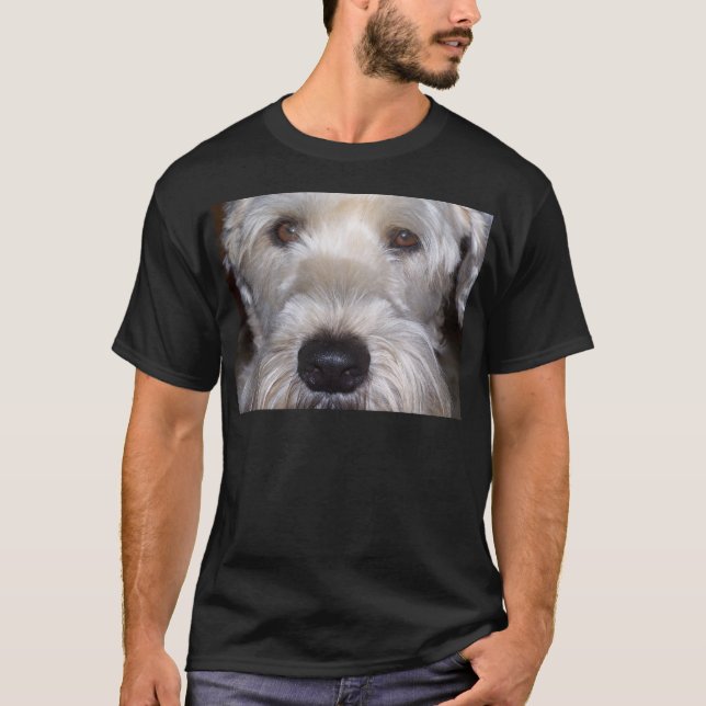 T-shirt Terrier blond comme les blés doucement enduit (Devant)