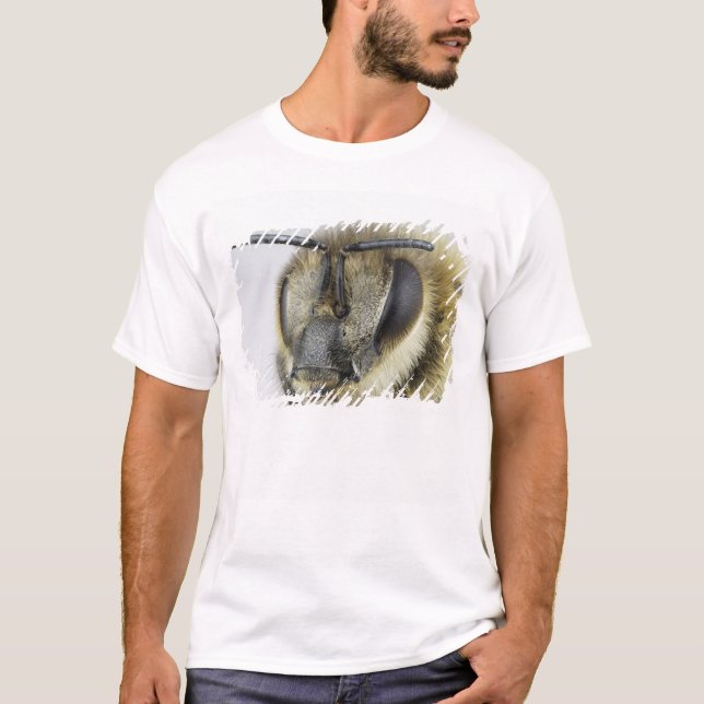 T-shirt Tête d'abeille (Devant)