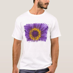 T-shirt Thaïlande, Bangkok, Lotus jaune et violet