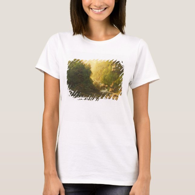 T-shirt The Mountain Torrent, c.1820-30 (oil on canvas) (Devant)