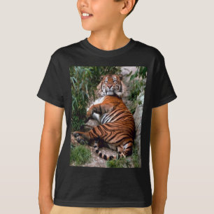 T-shirt Tigre